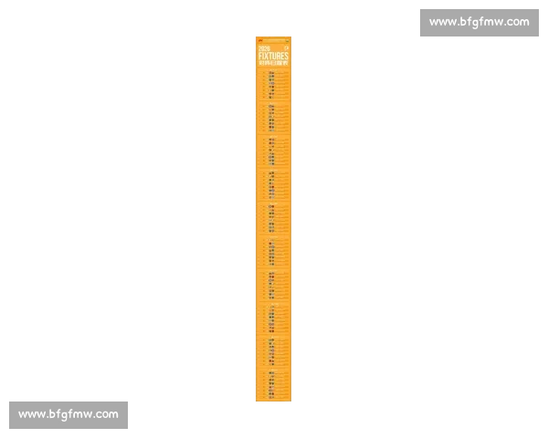 西甲官方网页版全面解析及赛程赛事最新资讯汇总